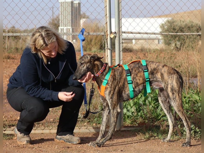 Joselito *PS in 834xx*