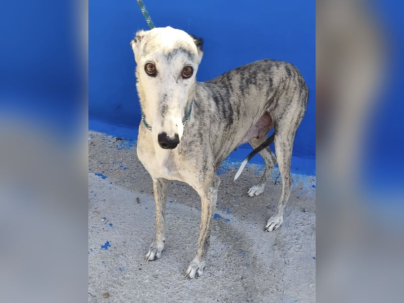Luna - Nach einem Leben voller Entbehrungen sucht sie endlich ihr eigenes Glück