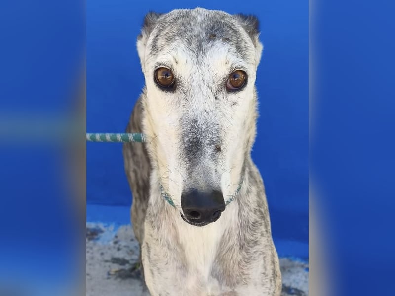 Luna - Nach einem Leben voller Entbehrungen sucht sie endlich ihr eigenes Glück