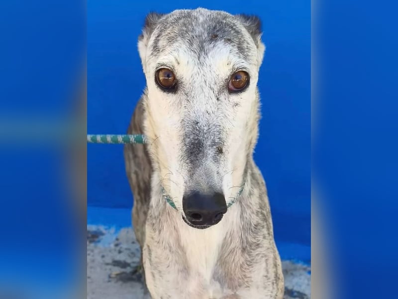 Luna , Nach einem Leben voller Entbehrungen sucht sie endlich ihr eigenes Glück