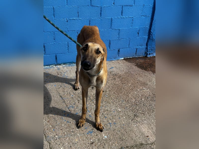 Marshal, er musste viel Leid ertragen