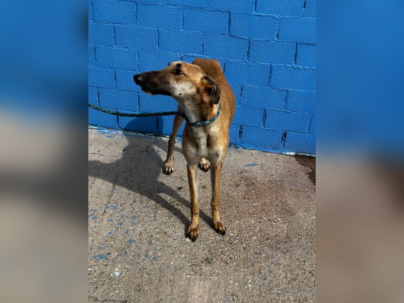 Marshal, er musste viel Leid ertragen