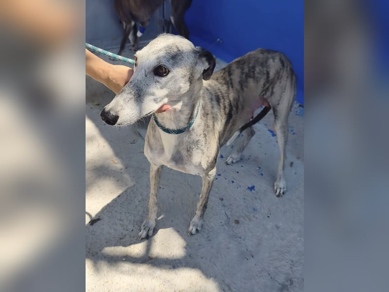 Luna - Nach einem Leben voller Entbehrungen sucht sie endlich ihr eigenes Glück