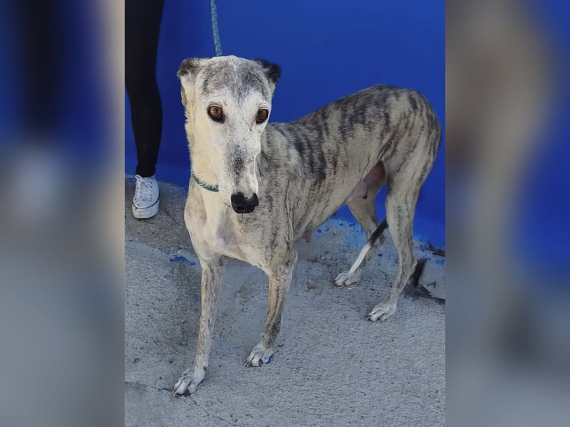 Luna - Nach einem Leben voller Entbehrungen sucht sie endlich ihr eigenes Glück