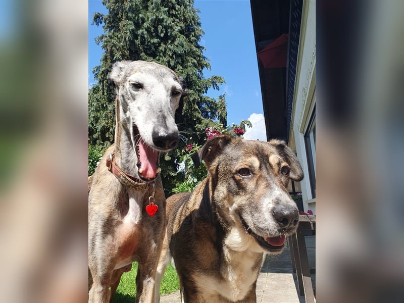 MARIANA - Sonnenschein auf der Suche nach Liebe (PLZ 355.. Wetzlar OT)