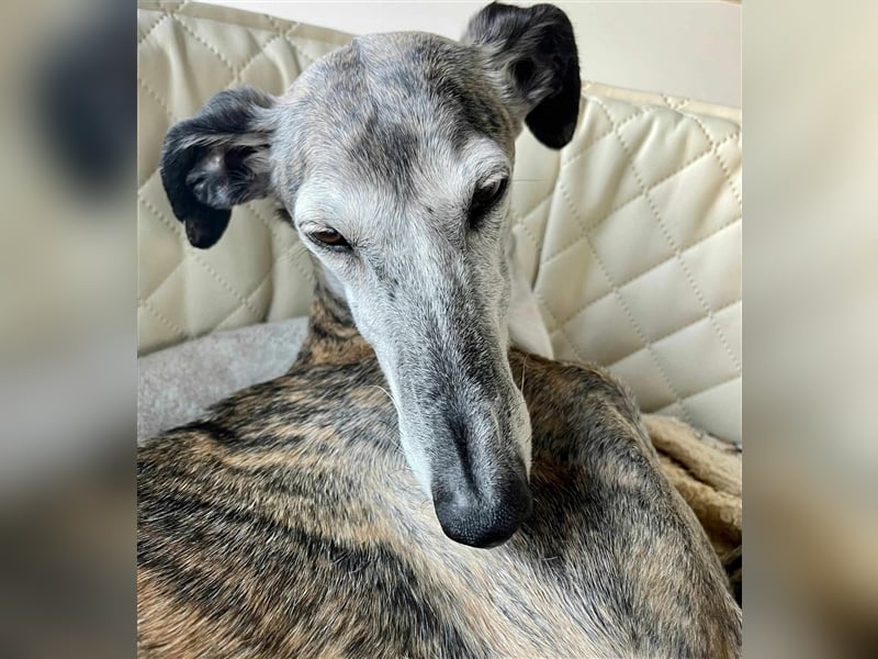 MARIANA - Sonnenschein auf der Suche nach Liebe (PLZ 355.. Wetzlar OT)