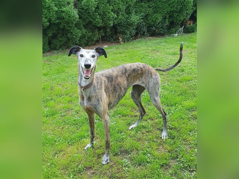 MARIANA - Sonnenschein auf der Suche nach Liebe (PLZ 355.. Wetzlar OT)