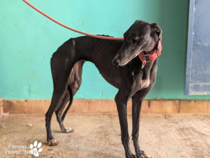 Jessica ist anfangs schüchtern, öffnet sich jedoch sobald Vertrauen da ist