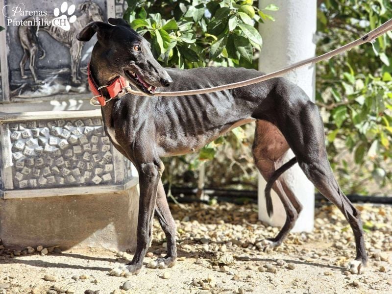 Jessica ist anfangs schüchtern, öffnet sich jedoch sobald Vertrauen da ist