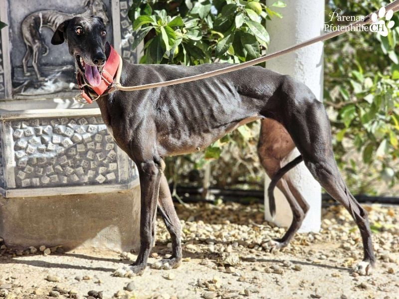 Jessica ist anfangs schüchtern, öffnet sich jedoch sobald Vertrauen da ist