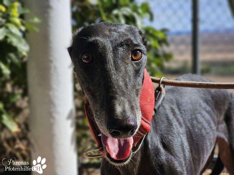 Jessica ist anfangs schüchtern, öffnet sich jedoch sobald Vertrauen da ist