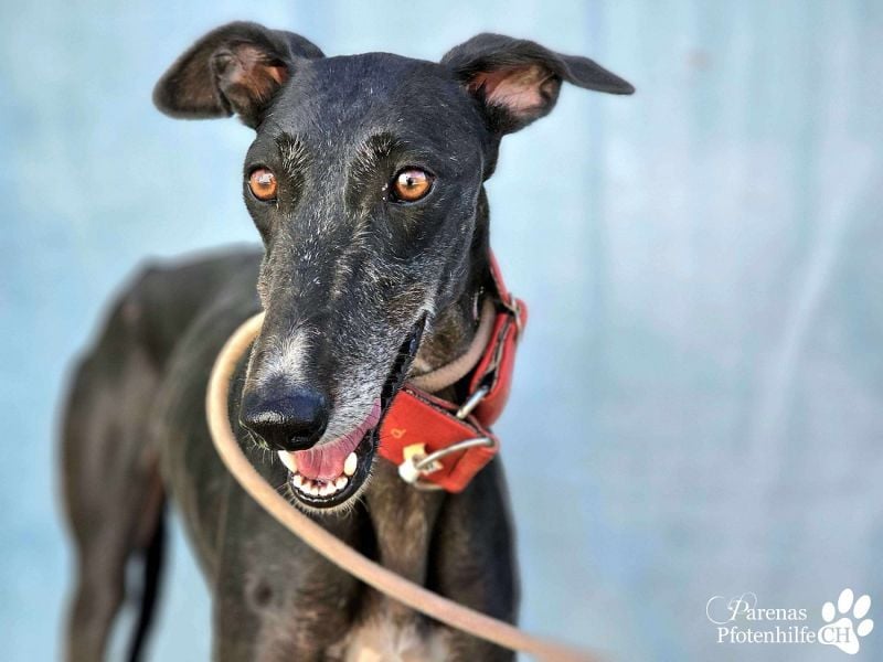 Jessica ist anfangs schüchtern, öffnet sich jedoch sobald Vertrauen da ist