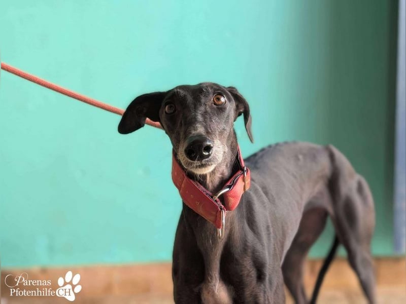 Jessica ist anfangs schüchtern, öffnet sich jedoch sobald Vertrauen da ist