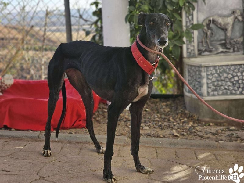 Jessica ist anfangs schüchtern, öffnet sich jedoch sobald Vertrauen da ist