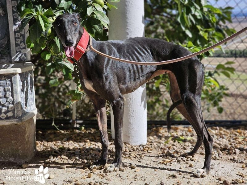 Jessica ist anfangs schüchtern, öffnet sich jedoch sobald Vertrauen da ist