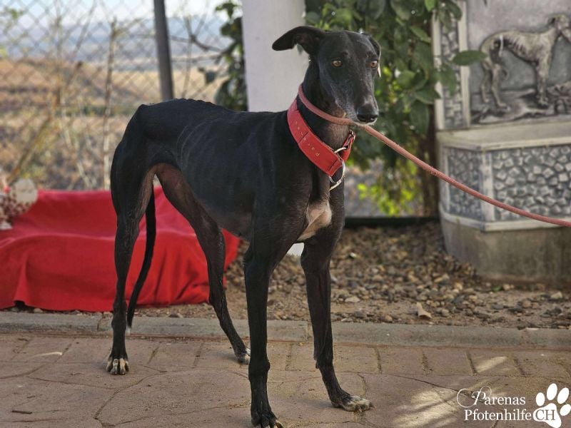 Jessica ist anfangs schüchtern, öffnet sich jedoch sobald Vertrauen da ist