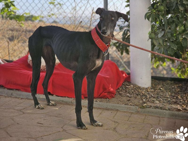 Jessica ist anfangs schüchtern, öffnet sich jedoch sobald Vertrauen da ist