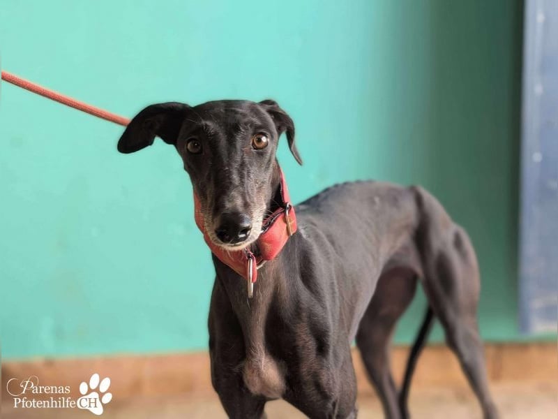 Jessica ist anfangs schüchtern, öffnet sich jedoch sobald Vertrauen da ist