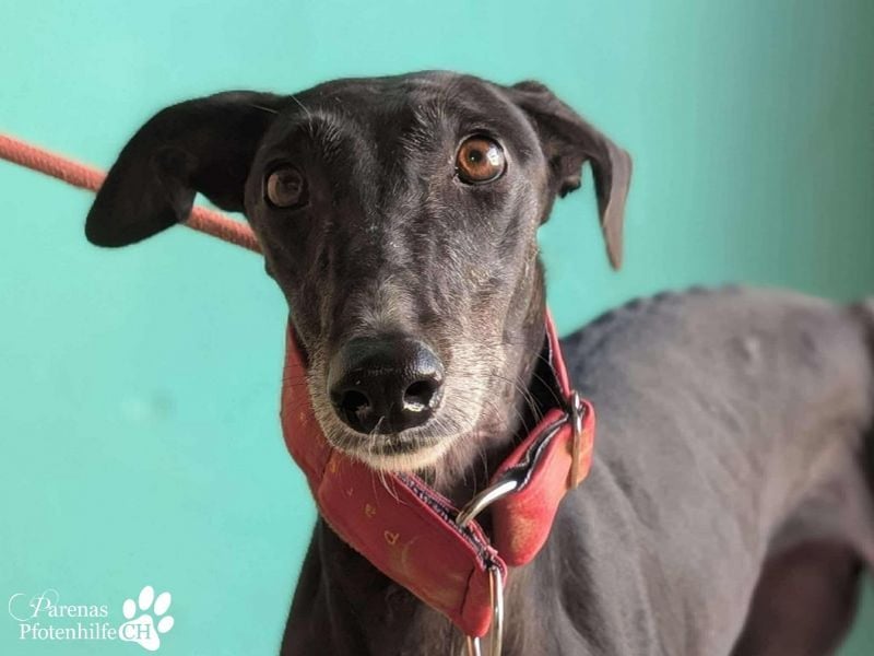 Jessica ist anfangs schüchtern, öffnet sich jedoch sobald Vertrauen da ist