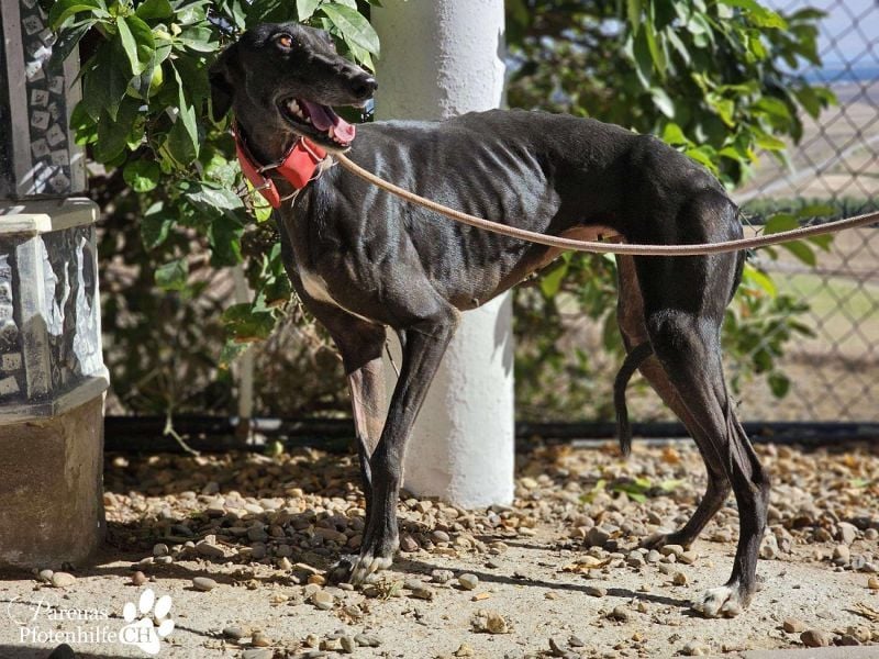 Jessica ist anfangs schüchtern, öffnet sich jedoch sobald Vertrauen da ist