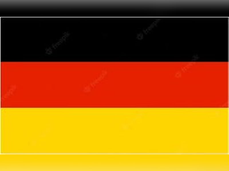 ❤️GRETEL❤️ Bereits auf Pflegestelle in Deutschland