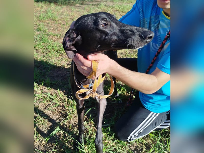 ❤️ ISERLO ❤️