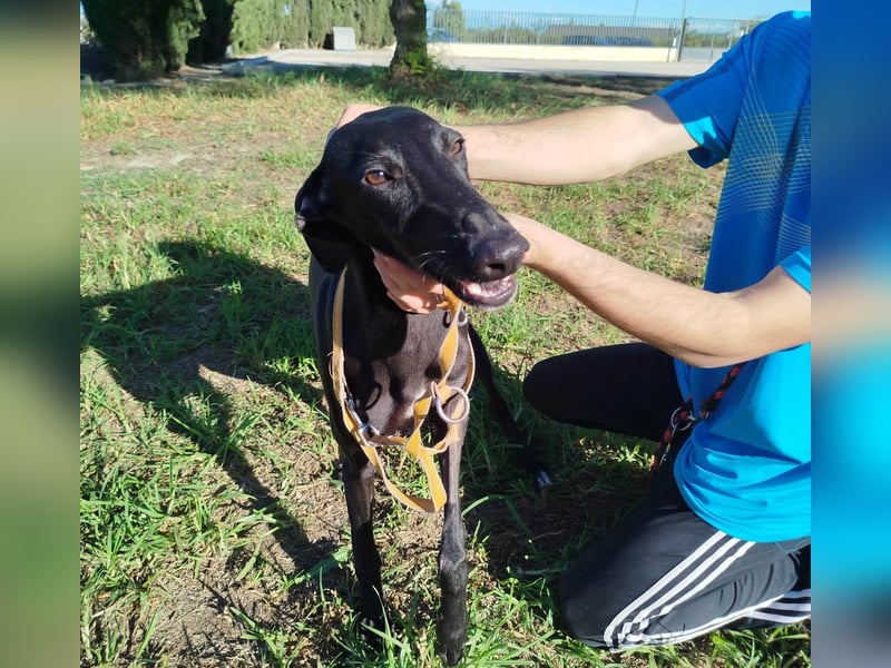 ❤️ ISERLO ❤️