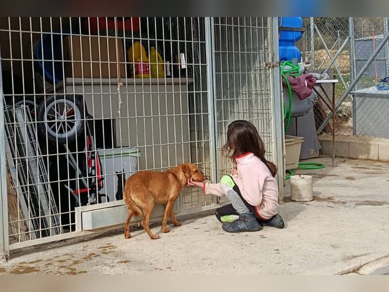 Flora (CO) wunderschöne Maus sucht ihre Familie