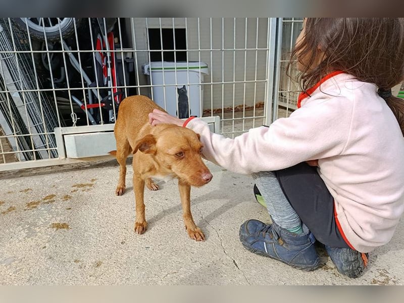 Flora (CO) wunderschöne Maus sucht ihre Familie