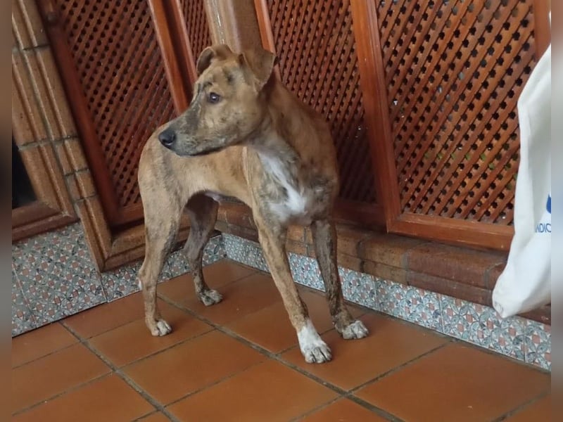 FLACO