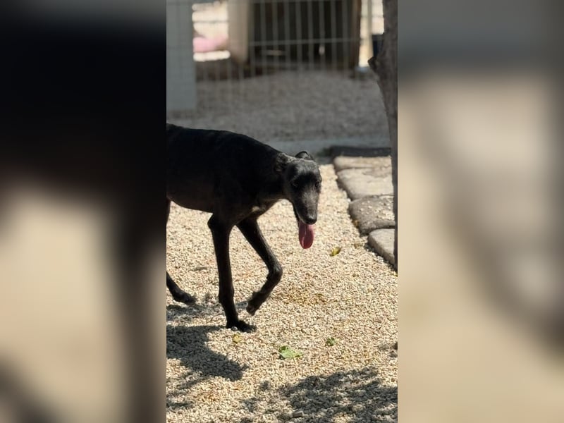 Neo, lieb und schüchtern