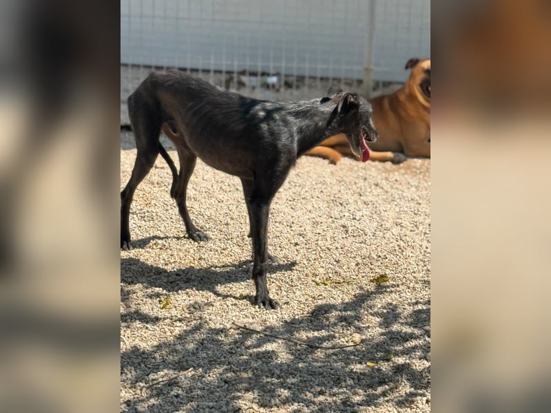 Neo, lieb und schüchtern