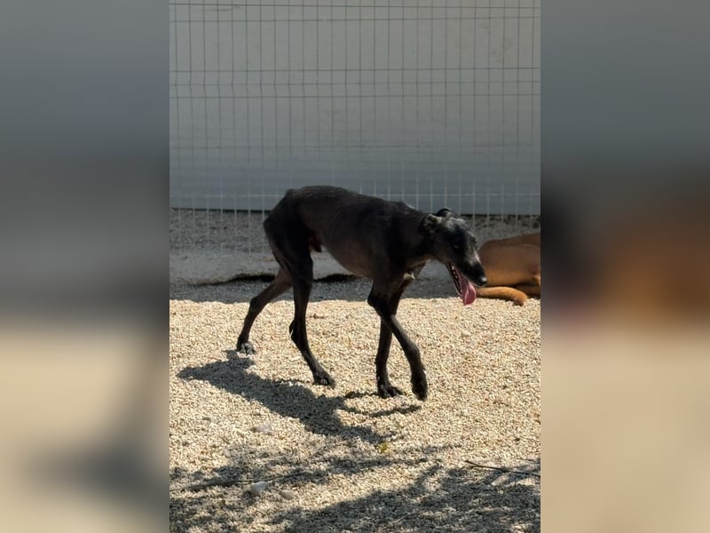 Neo, lieb und schüchtern