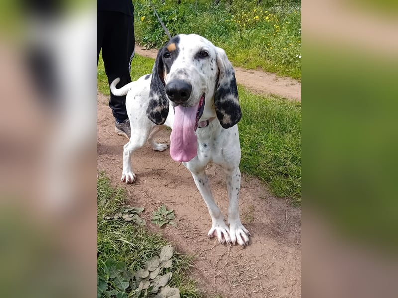 Genni: „Kriege ich bald eine Familie und etwas zu tun?“