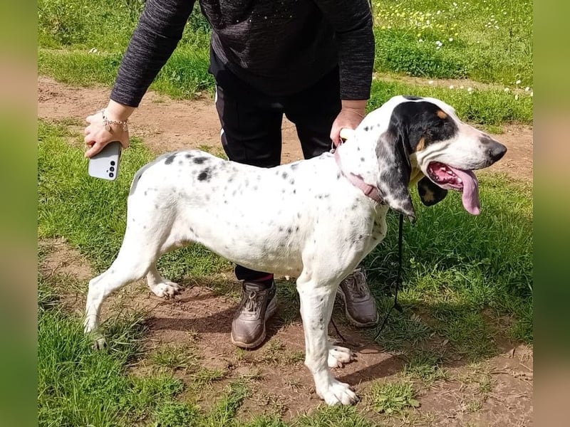 Genni: „Kriege ich bald eine Familie und etwas zu tun?“