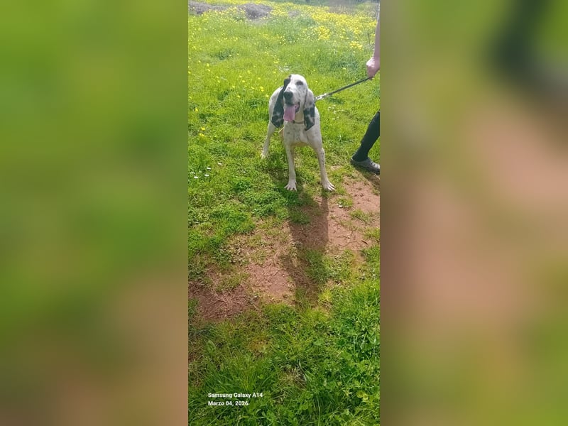 Genni: „Kriege ich bald eine Familie und etwas zu tun?“