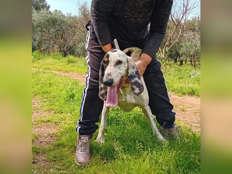 Genni: „Kriege ich bald eine Familie und etwas zu tun?“