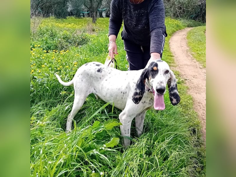 Genni: „Kriege ich bald eine Familie und etwas zu tun?“