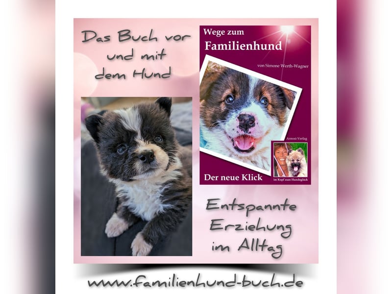 Geschenk unter 25 Euro - Welpe entspannt erziehen mit dem Buch Wege zum Familienhund