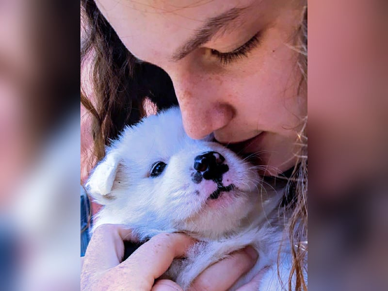 Geschenk unter 25 Euro - Welpe entspannt erziehen mit dem Buch Wege zum Familienhund