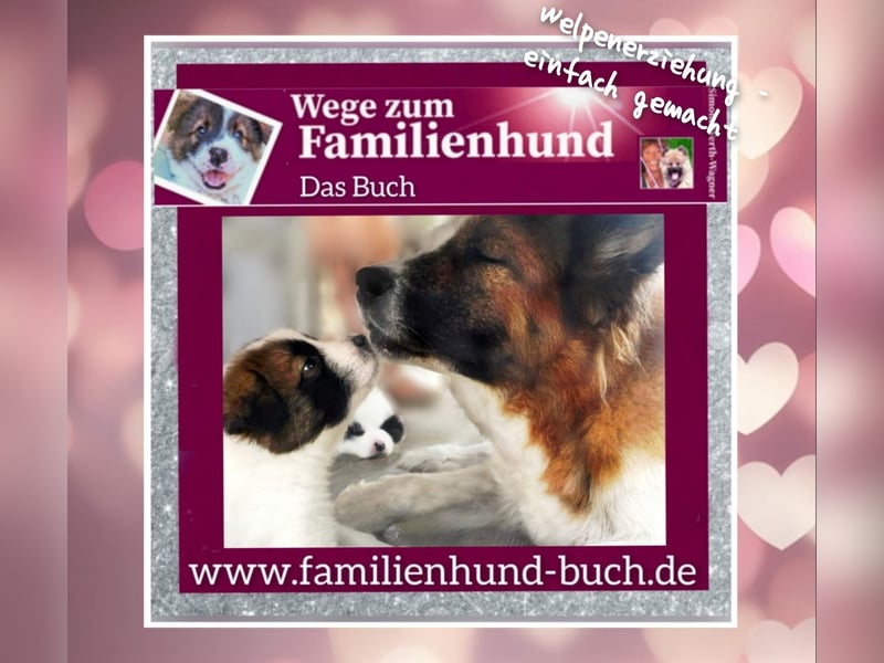 Geschenk unter 25 Euro - Welpe entspannt erziehen mit dem Buch Wege zum Familienhund