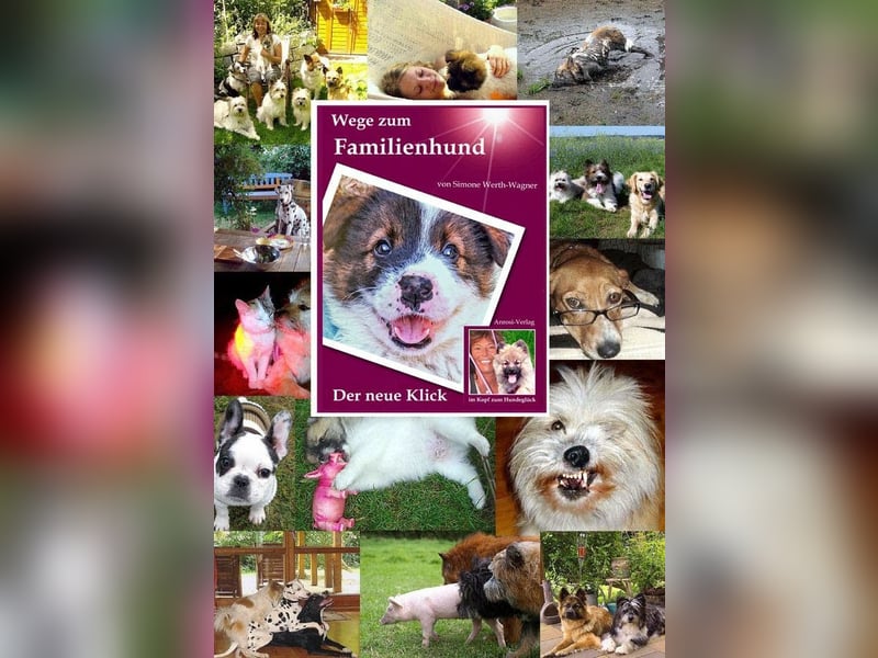 Geschenk unter 25 Euro - Welpe entspannt erziehen mit dem Buch Wege zum Familienhund