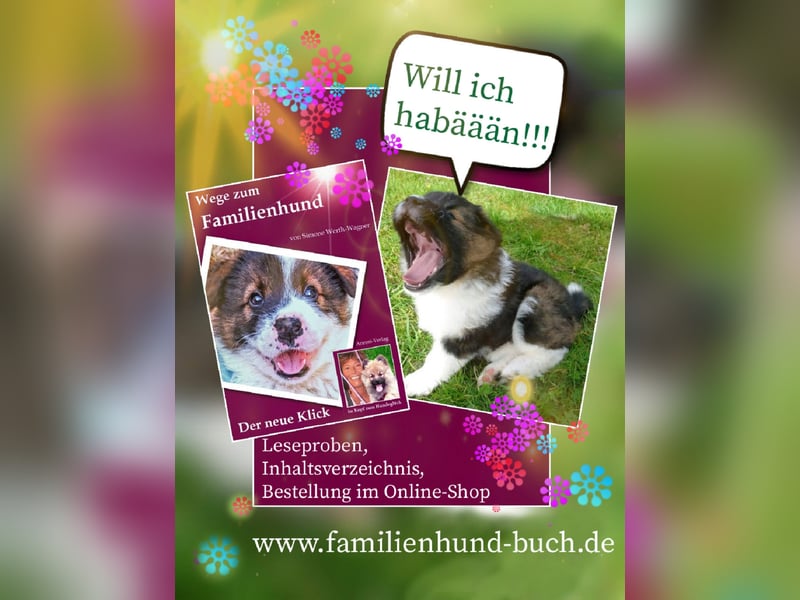 Geschenk unter 25 Euro - Welpe entspannt erziehen mit dem Buch Wege zum Familienhund