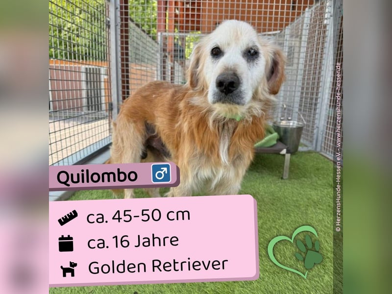 Quilombo