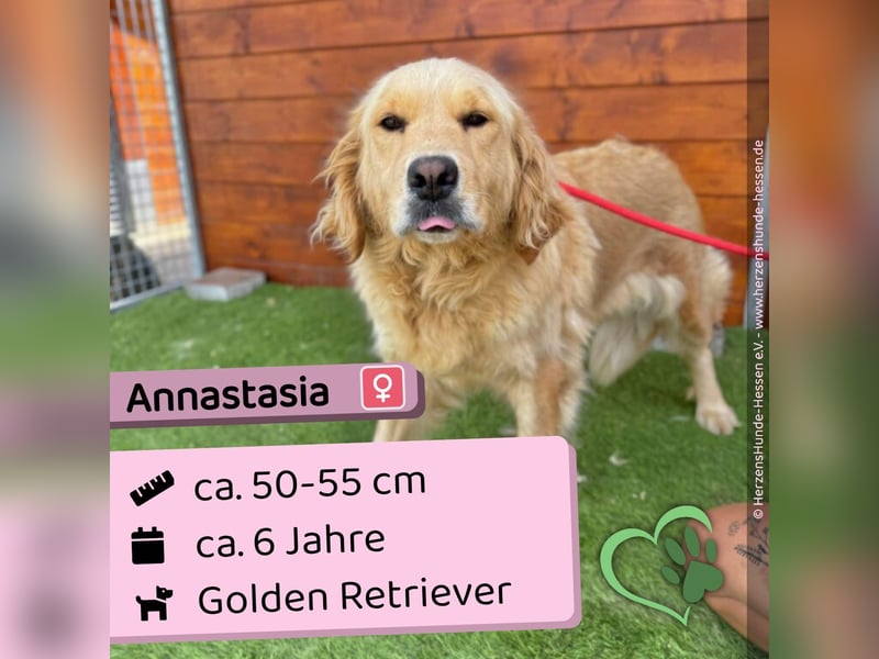Annastasia