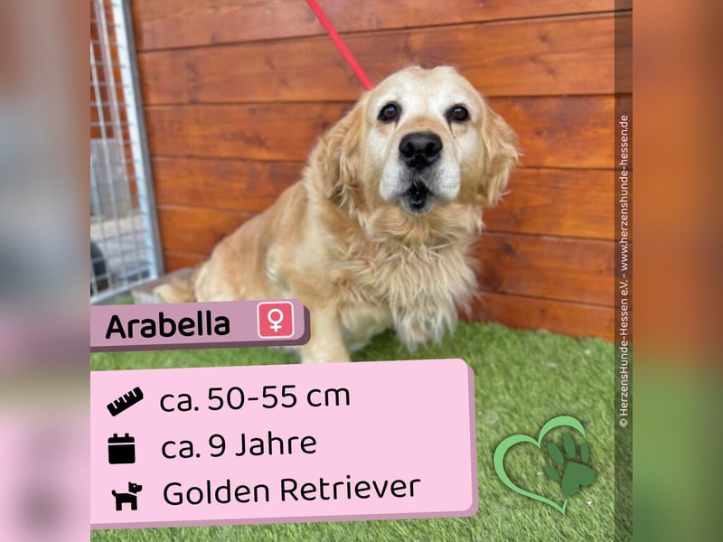 Arabella