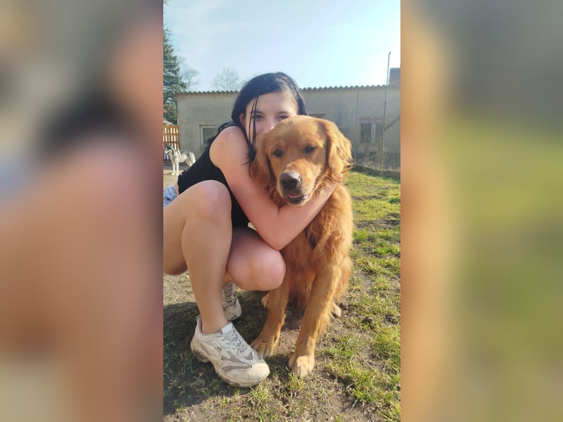 8 Goldstücke suchen Mitte Juli neues Rudel