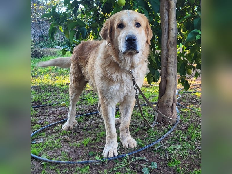 Notfall Leon , hofft endlich ausreisen zu dürfen