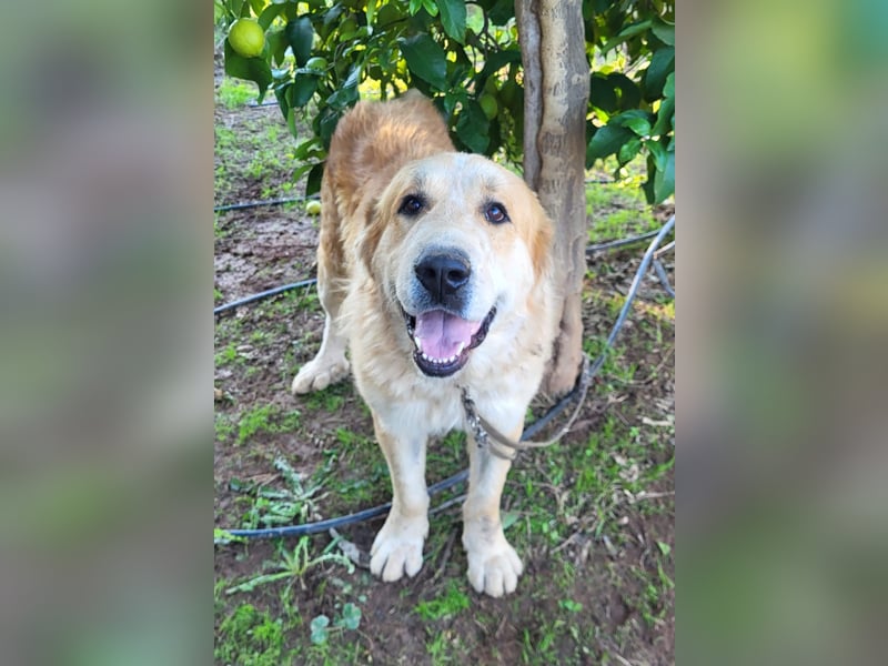 Notfall Leon , hofft endlich ausreisen zu dürfen