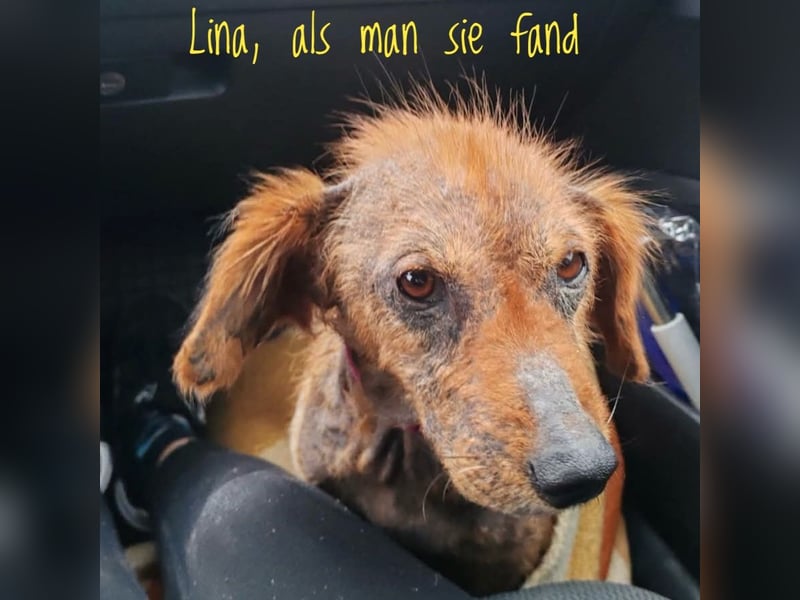 Lina ein braves dankbares Mädchen